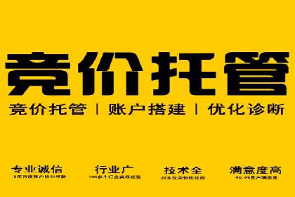 SEM推广实战：案例分析及优化路径